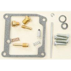 BIKE CARBURETOR REBUILD KIT