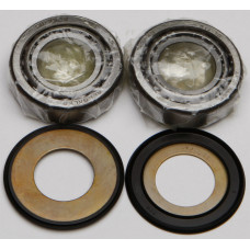 STEERING BEARING/SEAL KIT