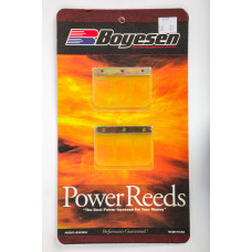 MOTORCYCLE REEDS