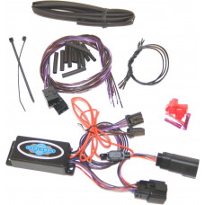 RBT STATIC SEQ MODULE W/LEQ FLH/T CVO & SE 09-13