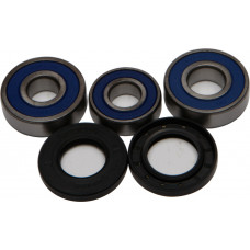 REAR WHEEL BEARING/SEAL KIT