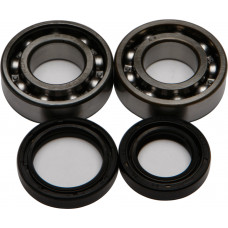 CRANKSHAFT BEARING/SEAL KIT