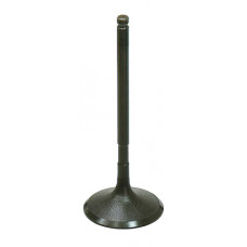 INTAKE VALVE