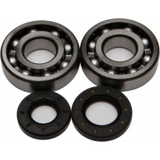CRANKSHAFT BEARING/SEAL KIT