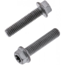 EURO TORX FLANGE BOLT 6X.1.0X25MM 10/PK