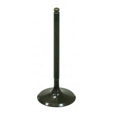 INTAKE VALVE