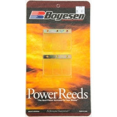 MOTORCYCLE REEDS