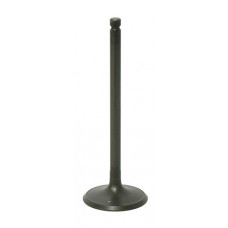INTAKE VALVE