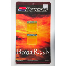 MOTORCYCLE REEDS