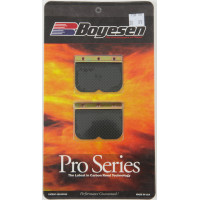 MOTORCYCLE PRO REEDS