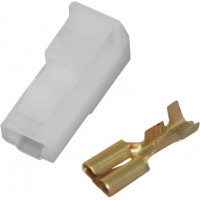 1-PIN .25