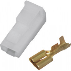 1-PIN .25