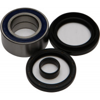 WHEEL BEARING & SEAL KIT