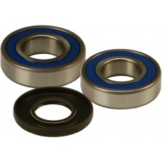 WHEEL BEARING & SEAL KIT