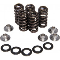 SPRING KIT REPLACEMENT 0.415 LIFT SHOVELHEAD '66-83