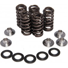 RACING VALVE SPRING KIT