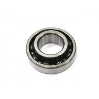 CRANKSHAFT BEARING POL