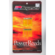 MOTORCYCLE REEDS
