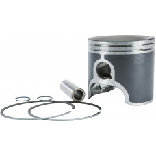 PISTON T-MOLY DOUBLE RING S-D