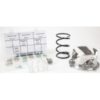 CLUTCH KIT WITH ADJ WEIGHTS POL 6K+ STK PIPE