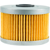 FP OIL FILTER 113