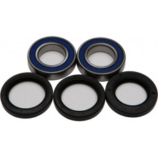 WHEEL BEARING & SEAL KIT