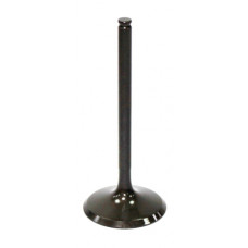 INTAKE VALVE
