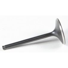 BLACK DIAMOND INTAKE VALVE BLACK DIAMOND INTAKE VALVE