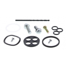 PETCOCK REPAIR KIT