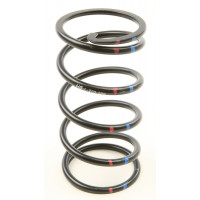 H5 DRIVEN CLUTCH SPRING BLACK/RED/BLUE
