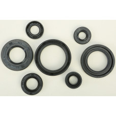 OIL SEAL SET