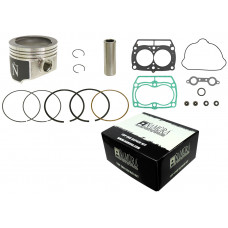 TOP END KIT NIKASIL CYL 79.95/STD POL