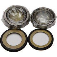 STEERING BEARING/SEAL KIT