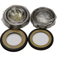 STEERING BEARING/SEAL KIT