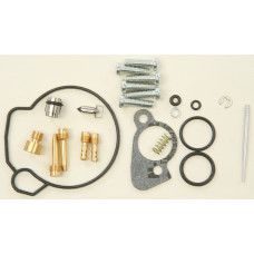 CARBURETOR REPAIR KIT