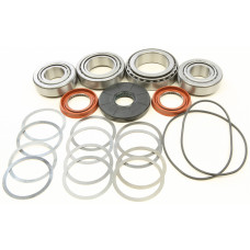 DIFFERENTIAL BEARING AND SEAL KIT