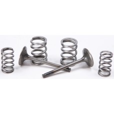 EXHAUST VALVE CONVERSION SET TI-STEEL KAW