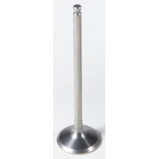 INTAKE TI VALVE INTAKE TI VALVE