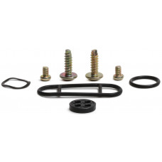 PETCOCK REPAIR KIT