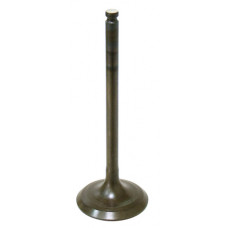 INTAKE VALVE