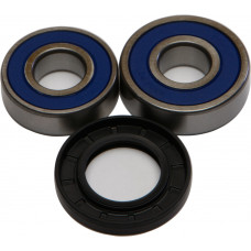 WHEEL BEARING & SEAL KIT
