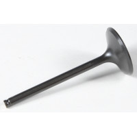 BLACK DIAMOND INTAKE VALVE