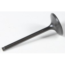 BLACK DIAMOND INTAKE VALVE