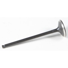 BLACK DIAMOND INTAKE VALVE BLACK DIAMOND INTAKE VALVE