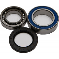 WHEEL BEARING & SEAL KIT