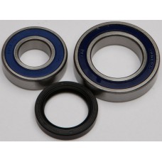 CHAIN CASE BEARING & SEAL KIT