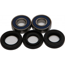 WHEEL BEARING & SEAL KIT