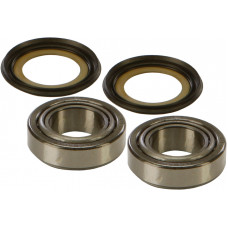 STEERING BEARING/SEAL KIT