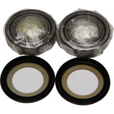 STEERING BEARING/SEAL KIT