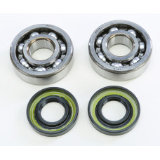 CRANKSHAFT BEARING & SEAL KIT KAW/SUZ